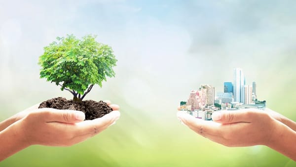 Immobilier et Climat : quelles zones de Lyon seront les plus résilientes face aux canicules ?